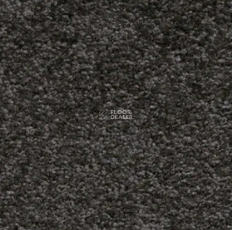 AW Florida 98 фото 1 | FLOORDEALER